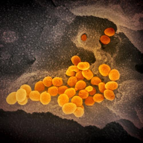 January 3 coronavirus pandemic and Omicron variant news