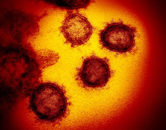January 3 coronavirus pandemic and Omicron variant news