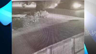 Hit And Run Crash
