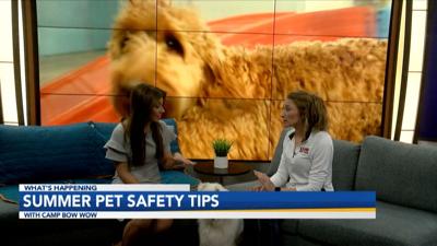Summer Pet Tips Ollie and Heatherlynn.jpg